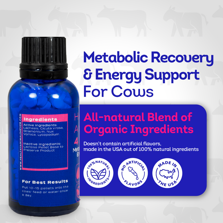 Ketosis Relief & Metabolic Support for Cows