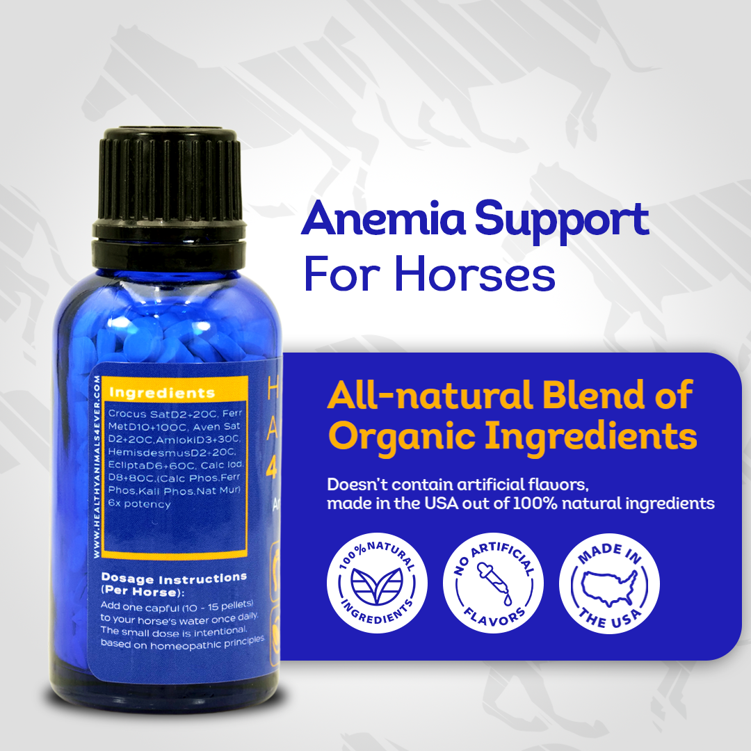 Horse Anemia Support