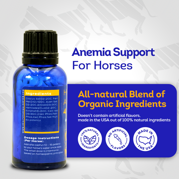 Horse Anemia Support