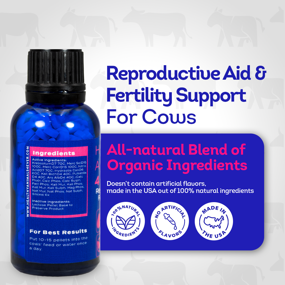 Cow Reproductive Aid & Fertility Support