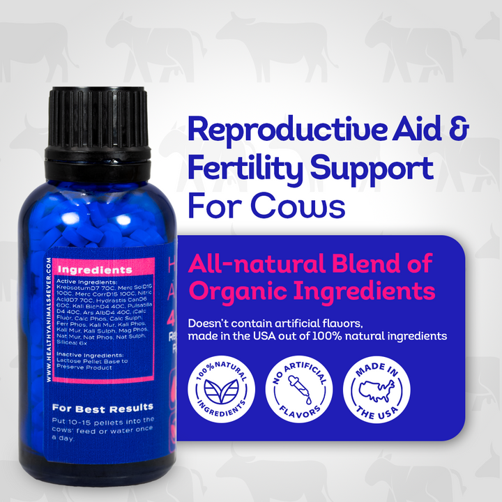 Cow Reproductive Aid & Fertility Support