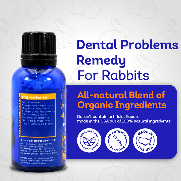 Dental Problems Remedy for Rabbits