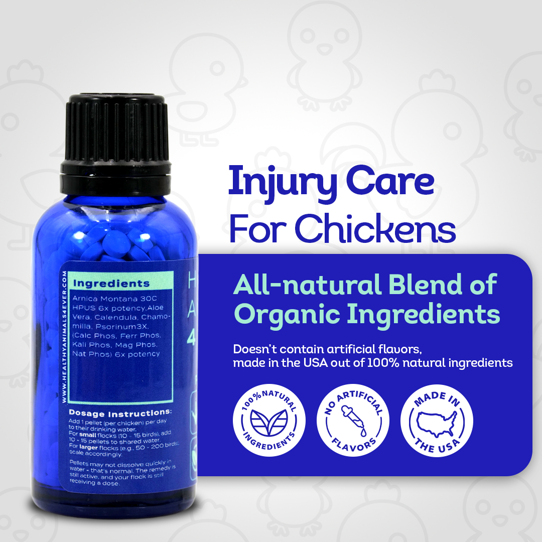 Chicken Injury Supplement - Supports Recovery from Accidents & Injuries - Highly Effective, Natural Homeopathic Tablets - 300 Pellets