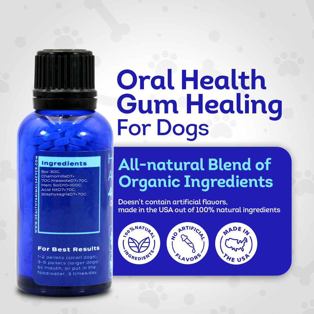 Oral Health Gum Healing Formula for Dogs, 30-Day Supply