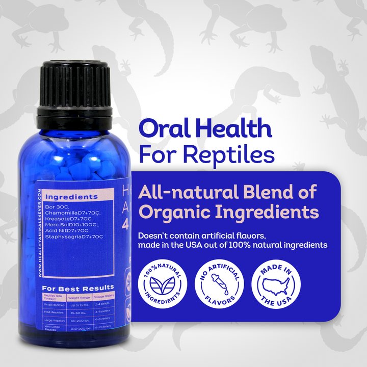 Reptile Oral Health: Natural Support for Mouth Rot