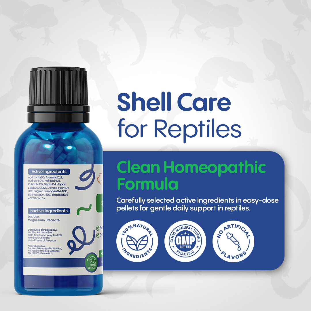 Reptile Shell Care - Natural Support for Shell Rot, Tissue Repair & Healthy Shell Growth - Safe Homeopathic Formula - 300 Tablets