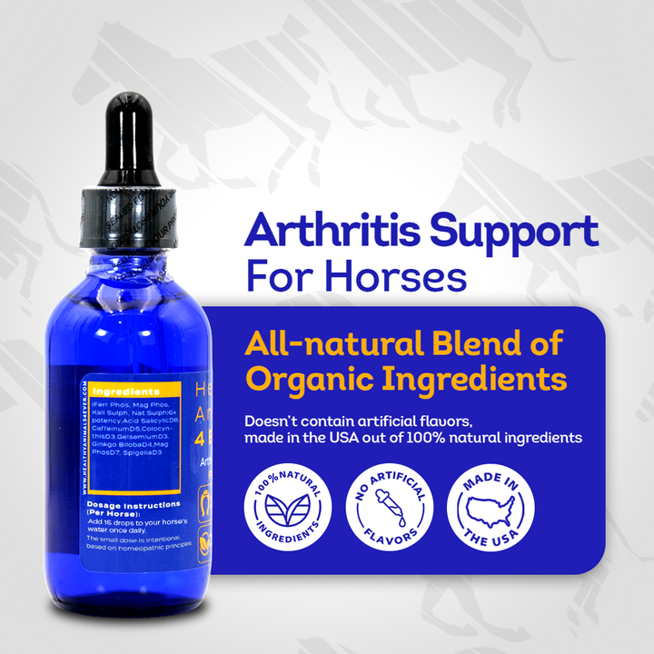 Horse Arthritis Support (Liquid)