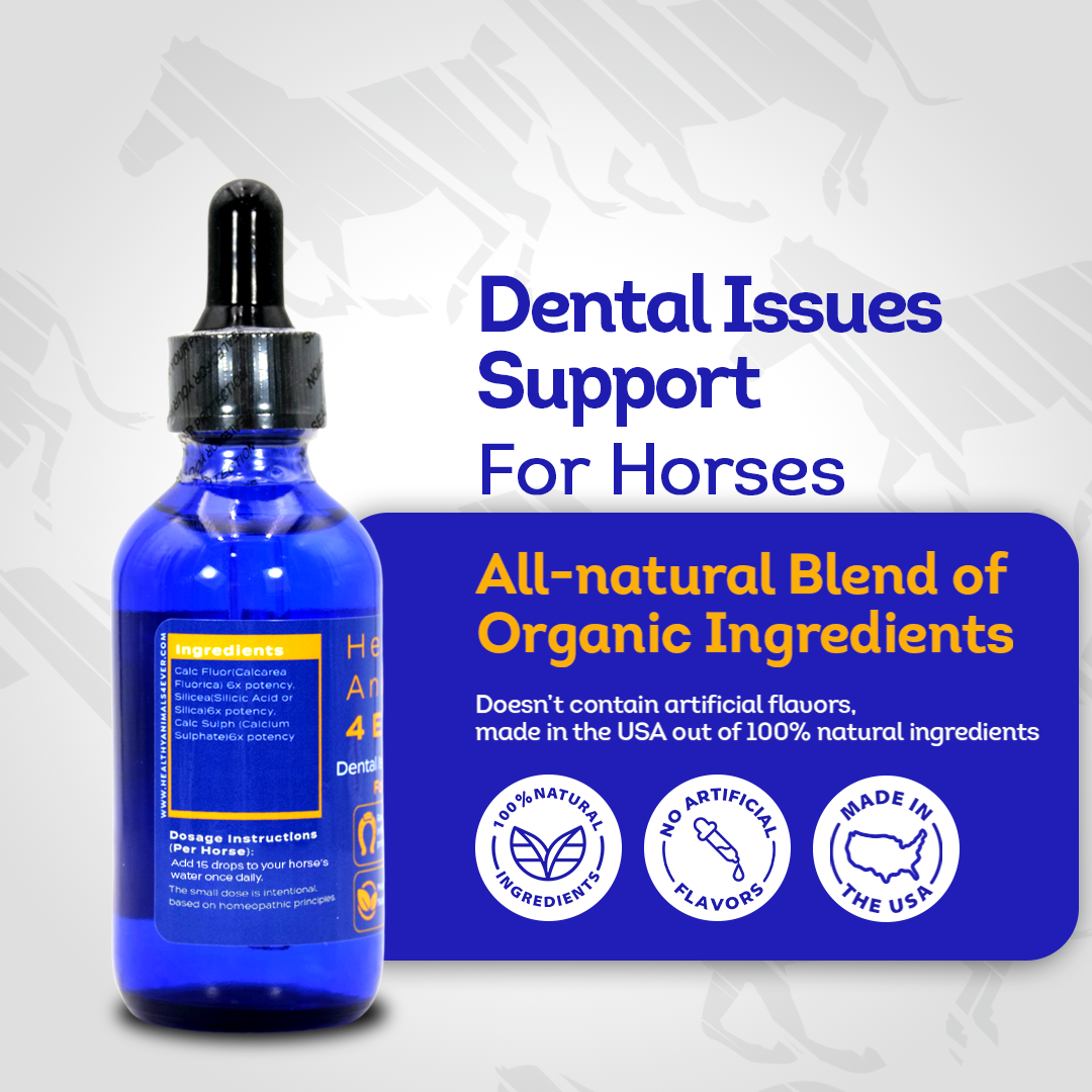 Horse Dental Issues Support (Liquid)