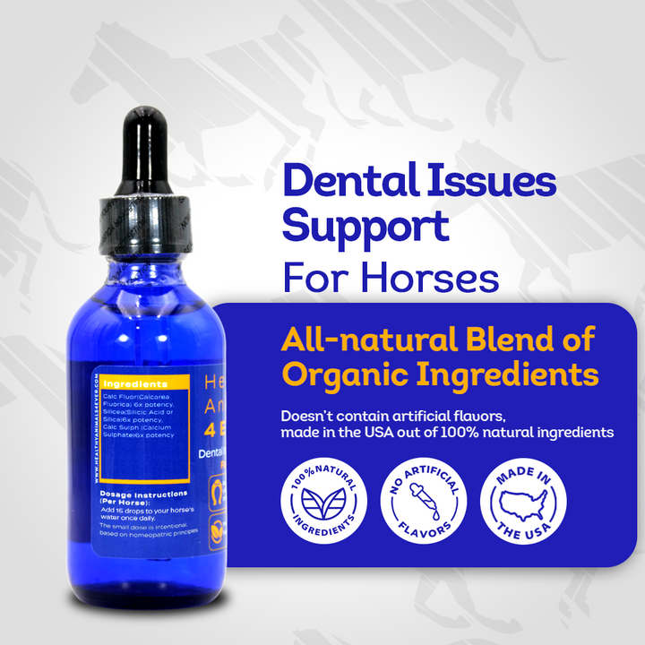 Horse Dental Issues Support (Liquid)