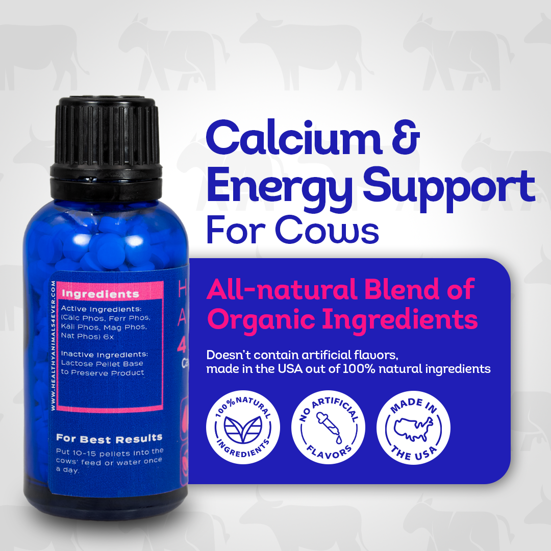 Milk Fever Support - Calcium & Energy Supplement for Cows