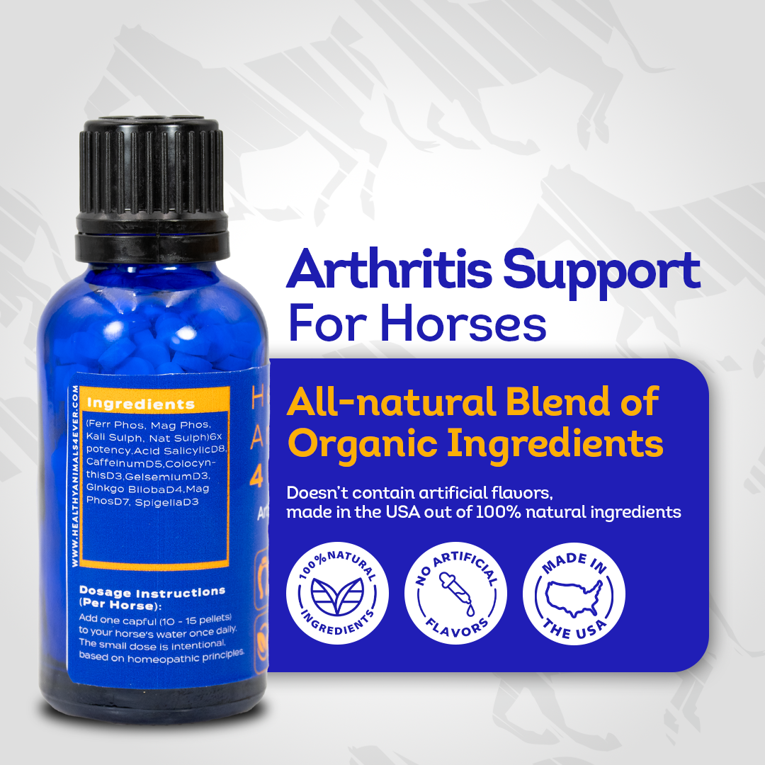 Horse Arthritis Support