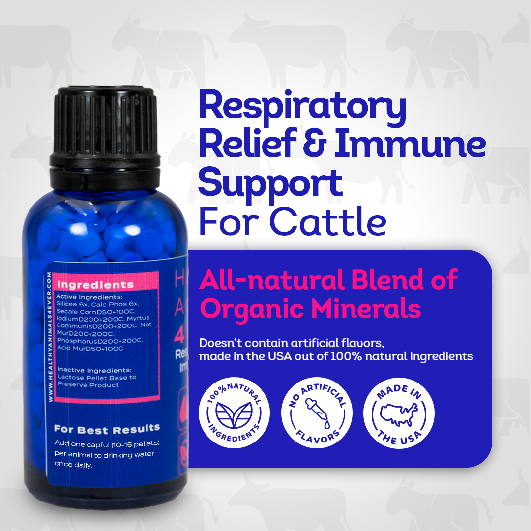 Cattle Respiratory Relief & Immune Support - Clears Airways, Promotes Recovery & Strengthens The Immune System - Natural, Non-Drowsy Formula - 300+ Tablets