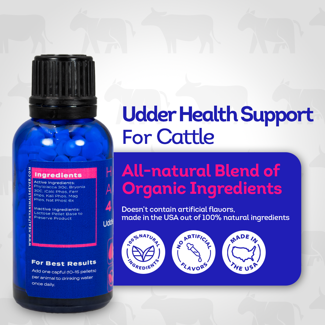 Mastitis Recovery Supplement for Cattle - Udder Health Support - Normalize Milk Production - All-Natural, Gentle Formula - 300+ Tablets