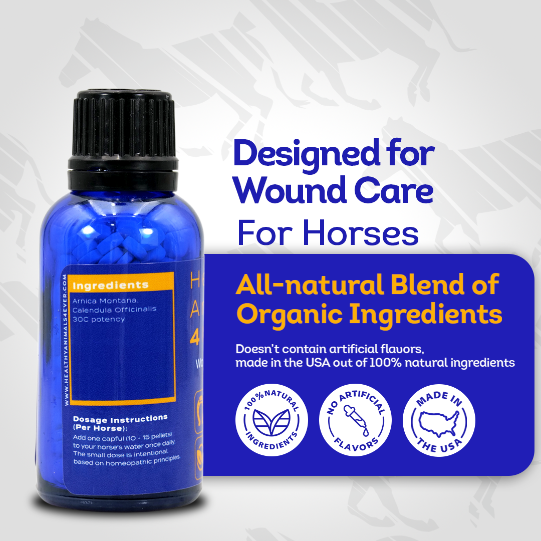 Horse Wounds Support