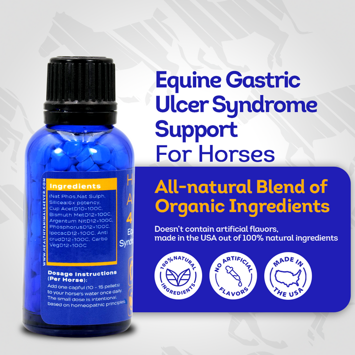 Equine Gastric Ulcer Syndrome Support