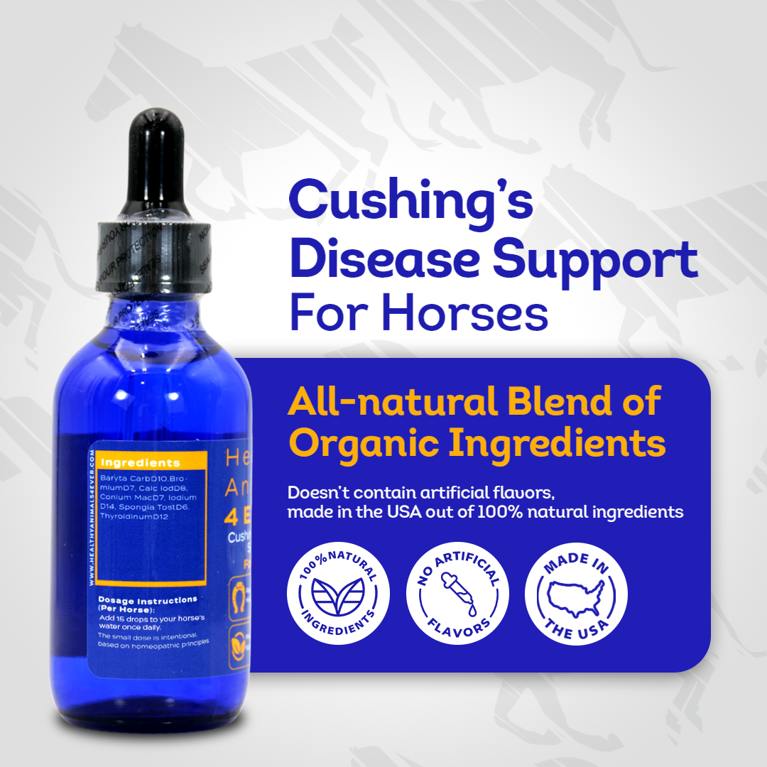 Horse Cushing Disease Support (Liquid)