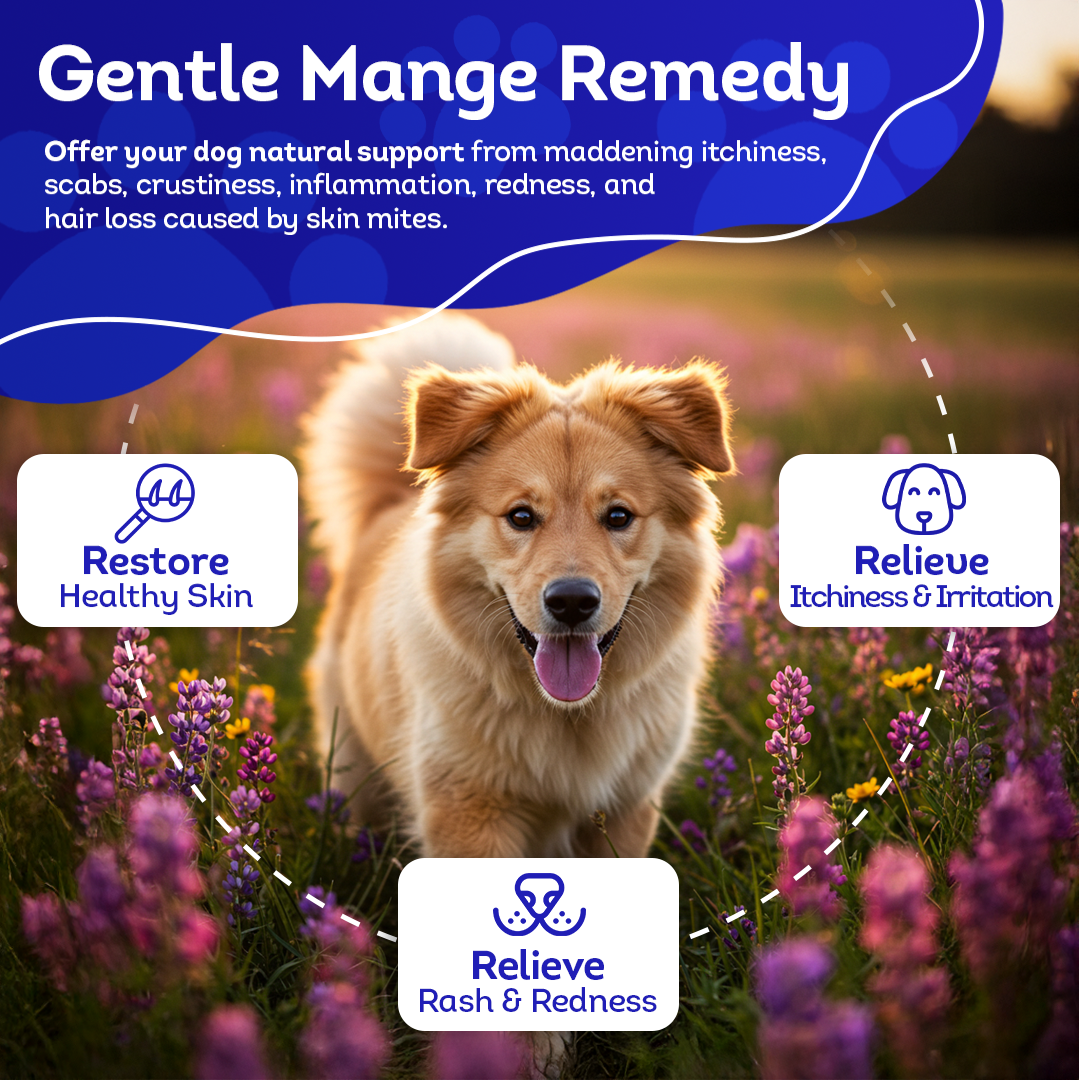 Mange Relief for Dogs - Treatment for Itchiness, Scabs, & Hair Loss Caused by Mites | All-Natural, Homeopathic, Non-Toxic, Tablets, Big Jar