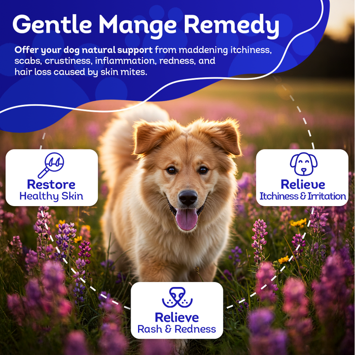 Mange Relief for Dogs - Treatment for Itchiness, Scabs, & Hair Loss Caused by Mites | All-Natural, Homeopathic, Non-Toxic, Tablets, Big Jar