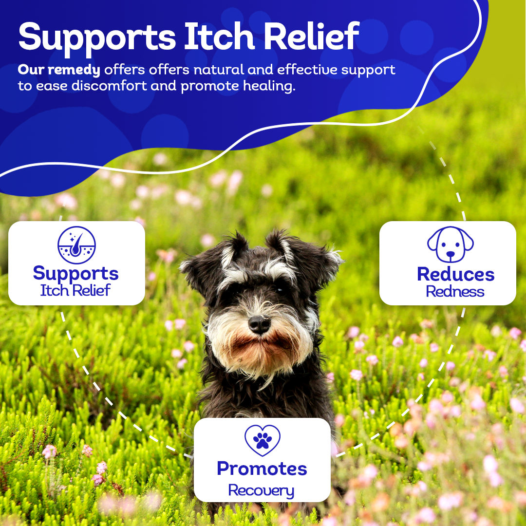 Dog Yeast Protection - Homeopathic Support for Yeast Infections - All-Natural Preventive Care for Skin & Ear Health - Tablets, Big Jar