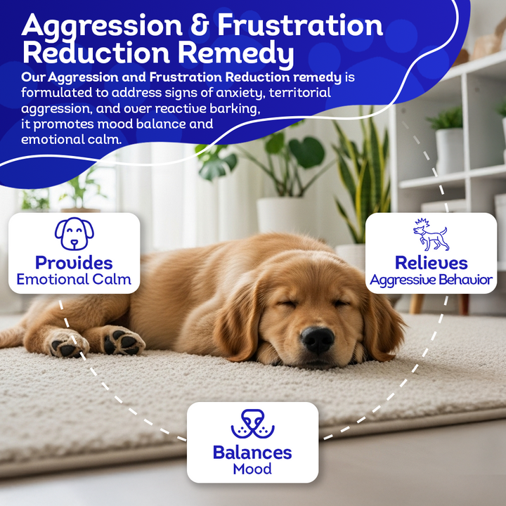 Calming Tablets for Stressed and Aggressive Dogs - Reduce Dog Aggression and Frustration & Promote Relaxation - All-Natural, Homeopathic Remedy - Tablets, Big Jar