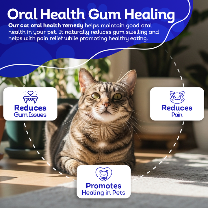 Cat Oral Health - Relieves Inflammation, Soothes Pain & Fights Gum Disease - Natural, Non-GMO, Organic, Gluten-Free & Chemical-Free - Tablets, Big Jar