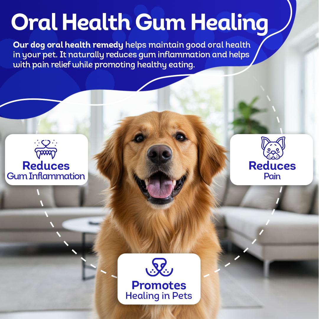 Dog Oral Health Supplement - Relieves Inflammation, Soothes Pain & Fights Gum Disease - Natural, Non-GMO, Organic, Gluten-Free & Chemical-Free - Tablets, Big Jar