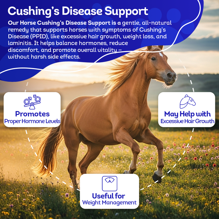 Horse Digestive Support for Cushing’s Disease - Preventative Care - Highly Effective, Natural Homeopathic Supplement - 300 Tablets