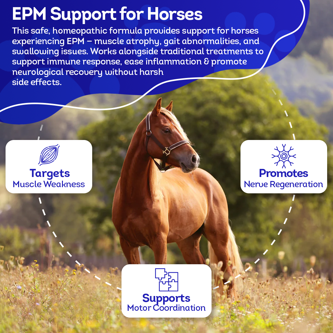 Equine Protozoal Myeloencephalitis (EPM) Support