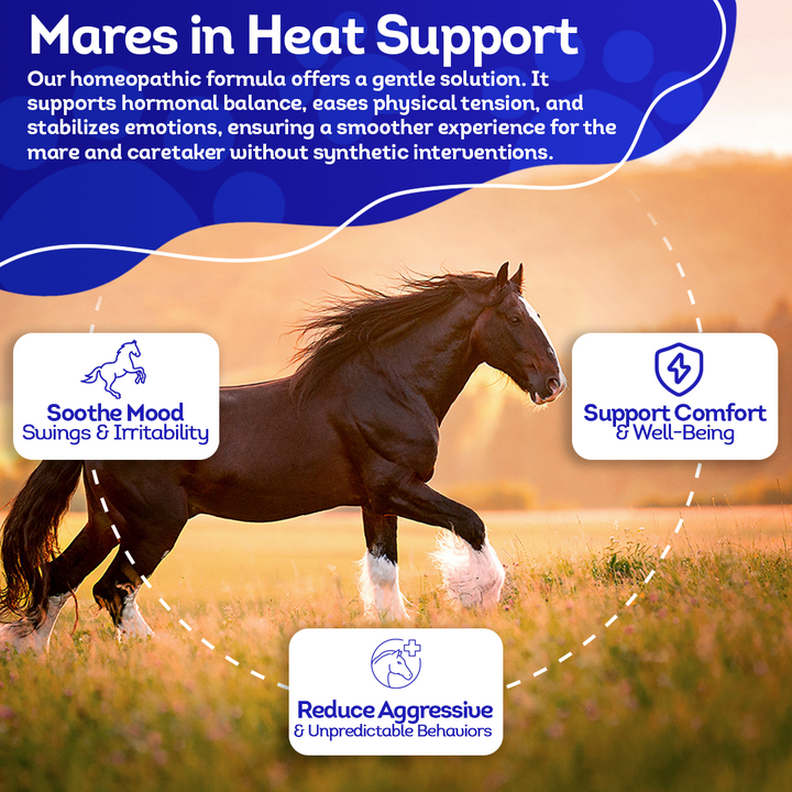 Mares in Heat Support - Angry and Agitated Horses (Liquid)