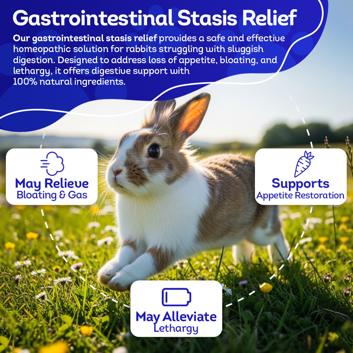 Gastrointestinal Stasis Relief for Rabbits