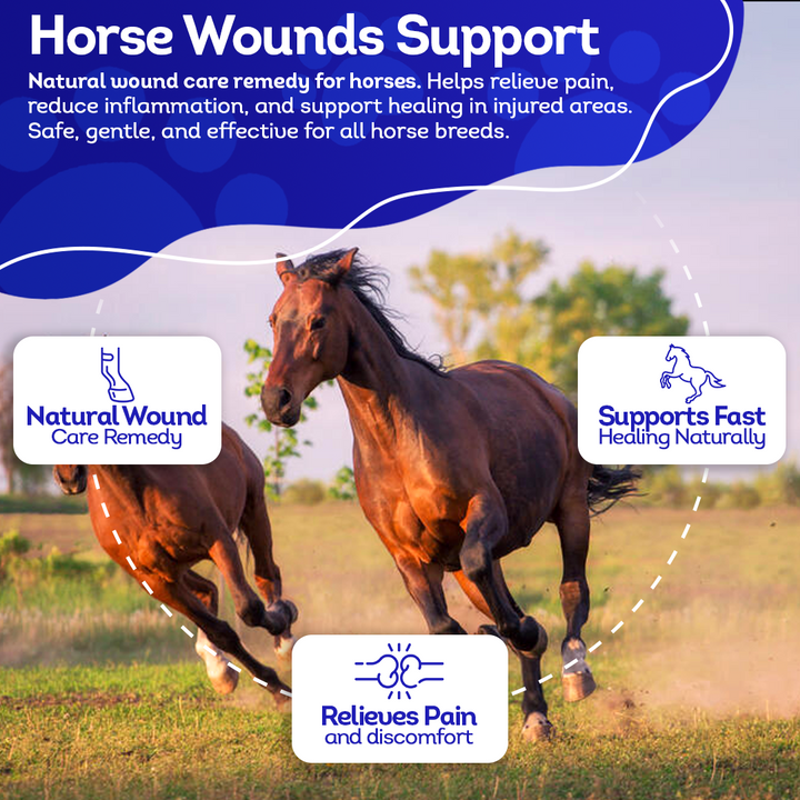 Horse Wounds Support