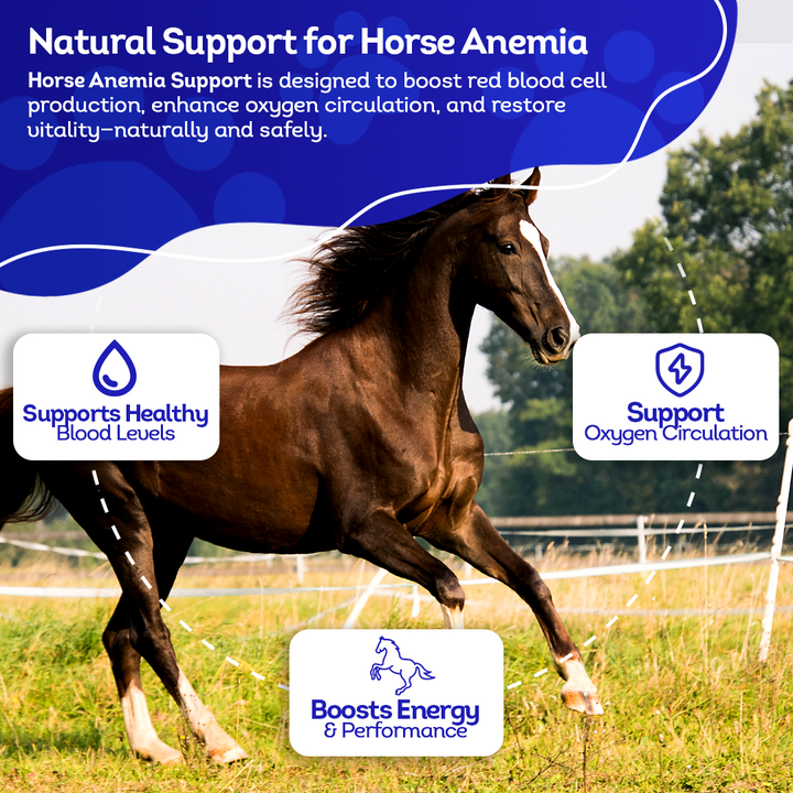 Horse Anemia Support (Liquid)