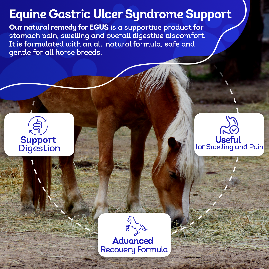 Equine Gastric Ulcer Syndrome Support