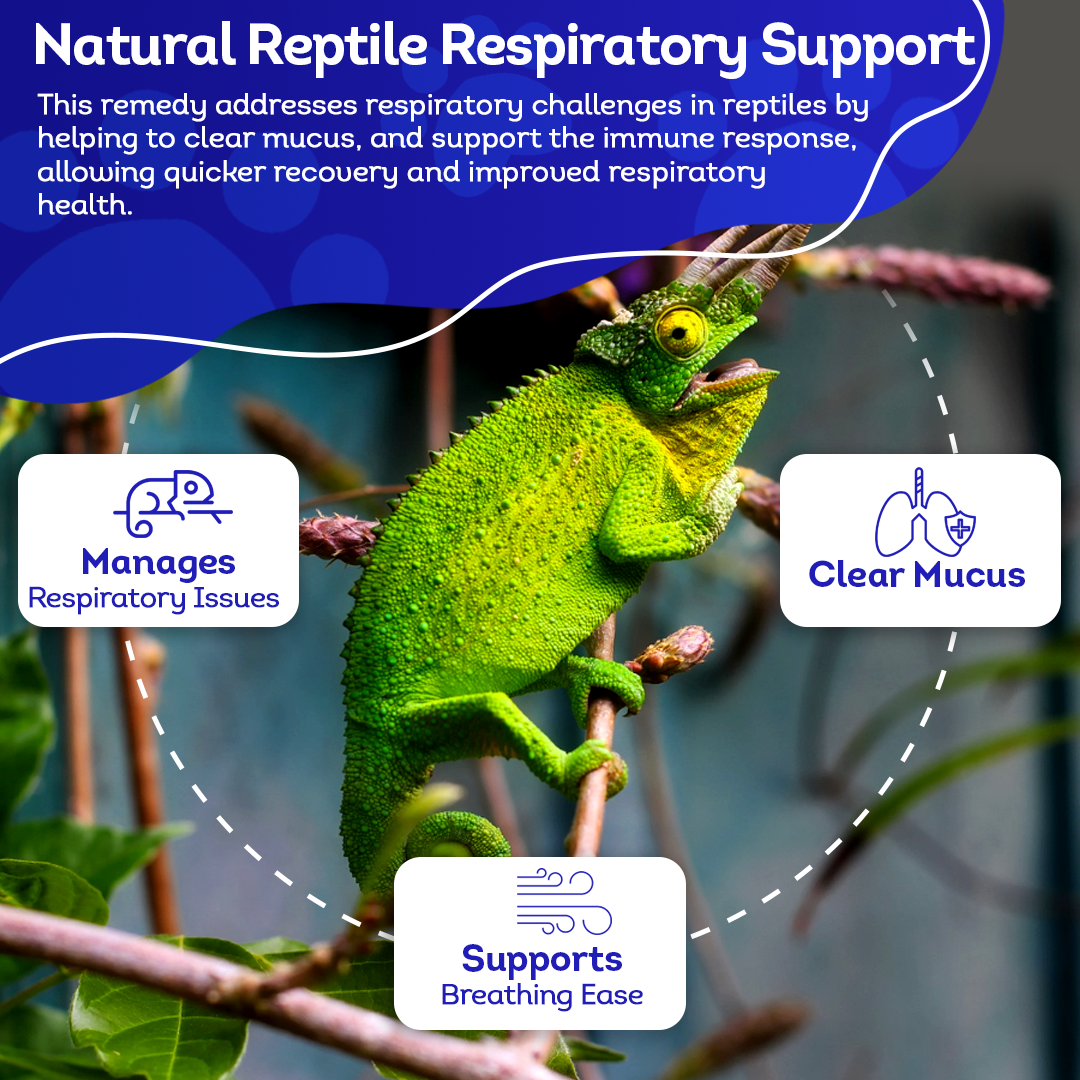Natural Reptile Respiratory Support