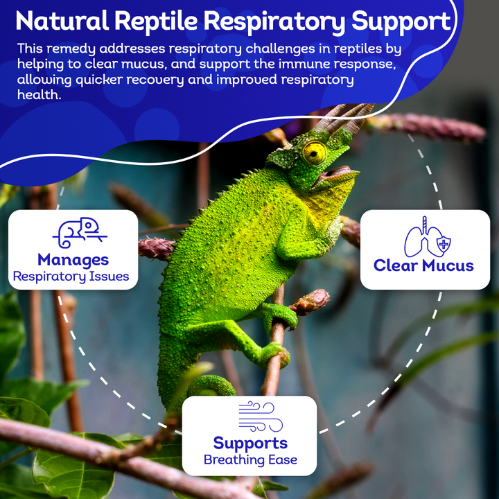 Natural Reptile Respiratory Support