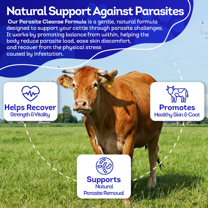 Cow Parasite Removal Support - Gut & Toxin Cleanse