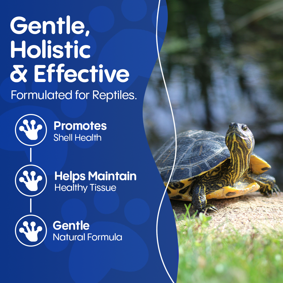 Reptile Shell Care - Natural Support for Shell Rot, Tissue Repair & Healthy Shell Growth - Safe Homeopathic Formula - 300 Tablets