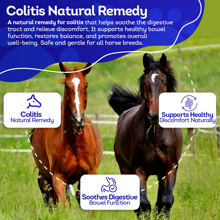 Horse Colitis Support