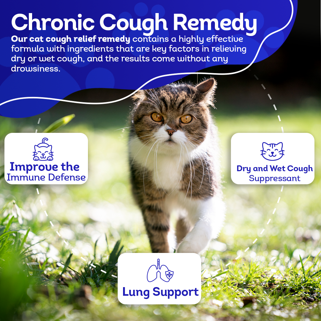 Dry or Wet Cough Formula for Cats, 30-Day Supply