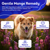 Mange Relief for Dogs - Treatment for Itchiness, Scabs, & Hair Loss Caused by Mites