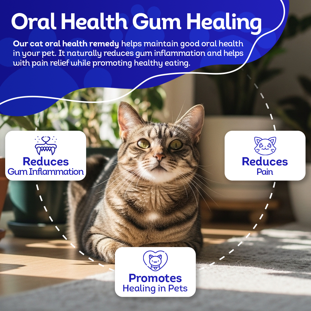 Oral Health Gum Healing Formula for Cats, 30-Day Supply