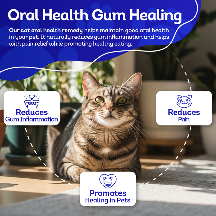 Oral Health Gum Healing Formula for Cats, 30-Day Supply