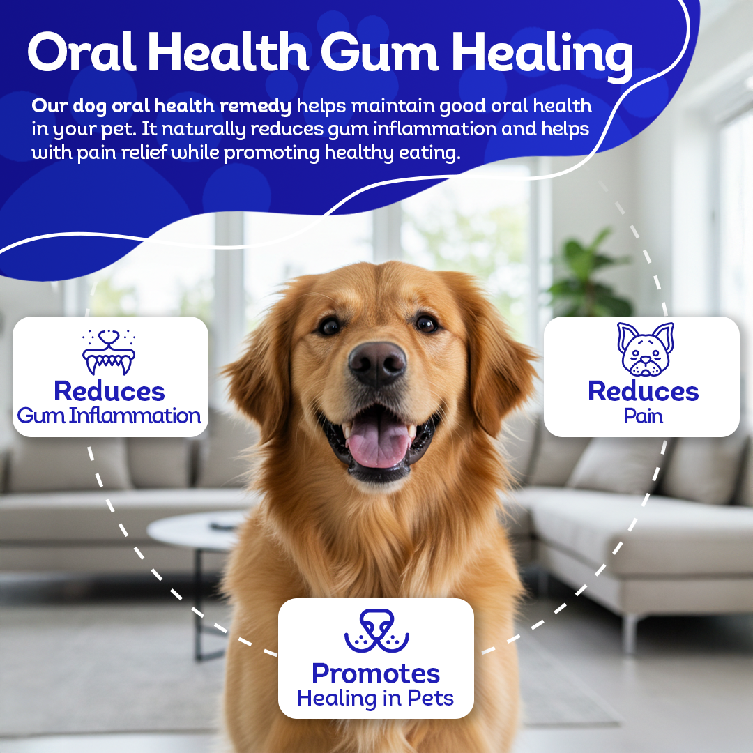 Oral Health Gum Healing Formula for Dogs, 30-Day Supply