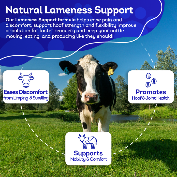 Cattle Lameness Remedy