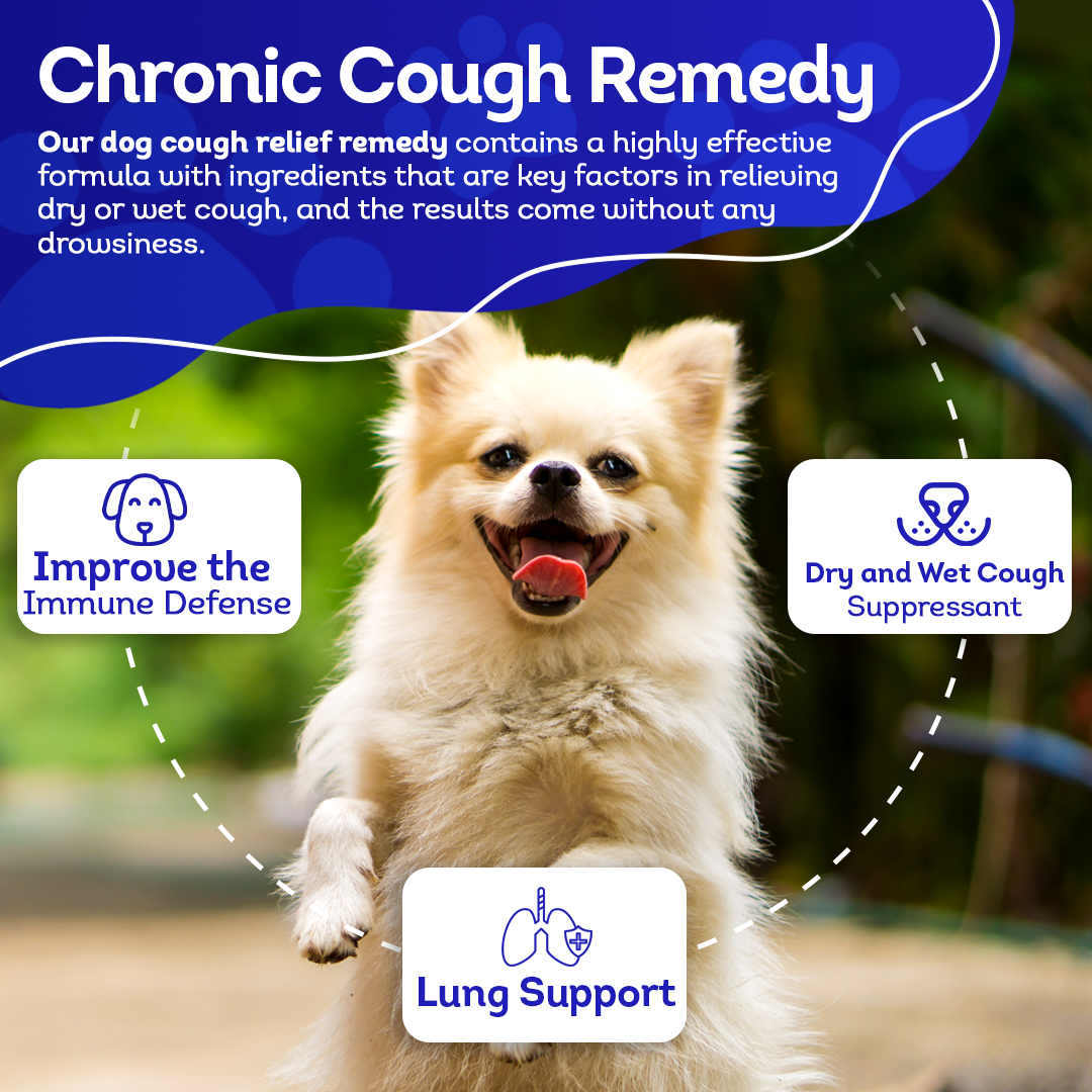 Dry or Wet Cough Formula for Dogs, 30-Day Supply