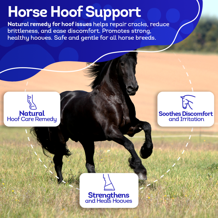 Horse Hoof Issues Support (Liquid)