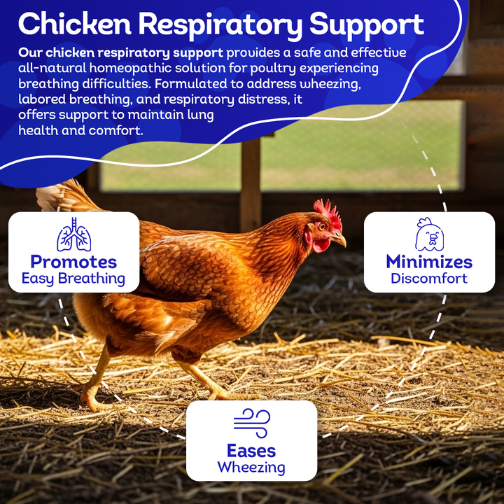 Chicken Respiratory Support (Liquid)