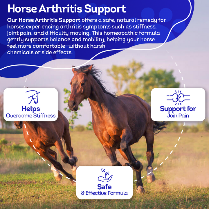 Horse Arthritis Support (Liquid)