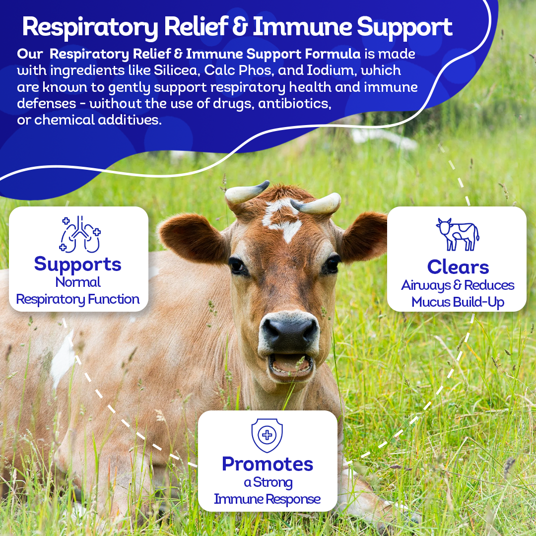Cattle Respiratory Relief & Immune Support - Clears Airways, Promotes Recovery & Strengthens The Immune System - Natural, Non-Drowsy Formula - 300+ Tablets