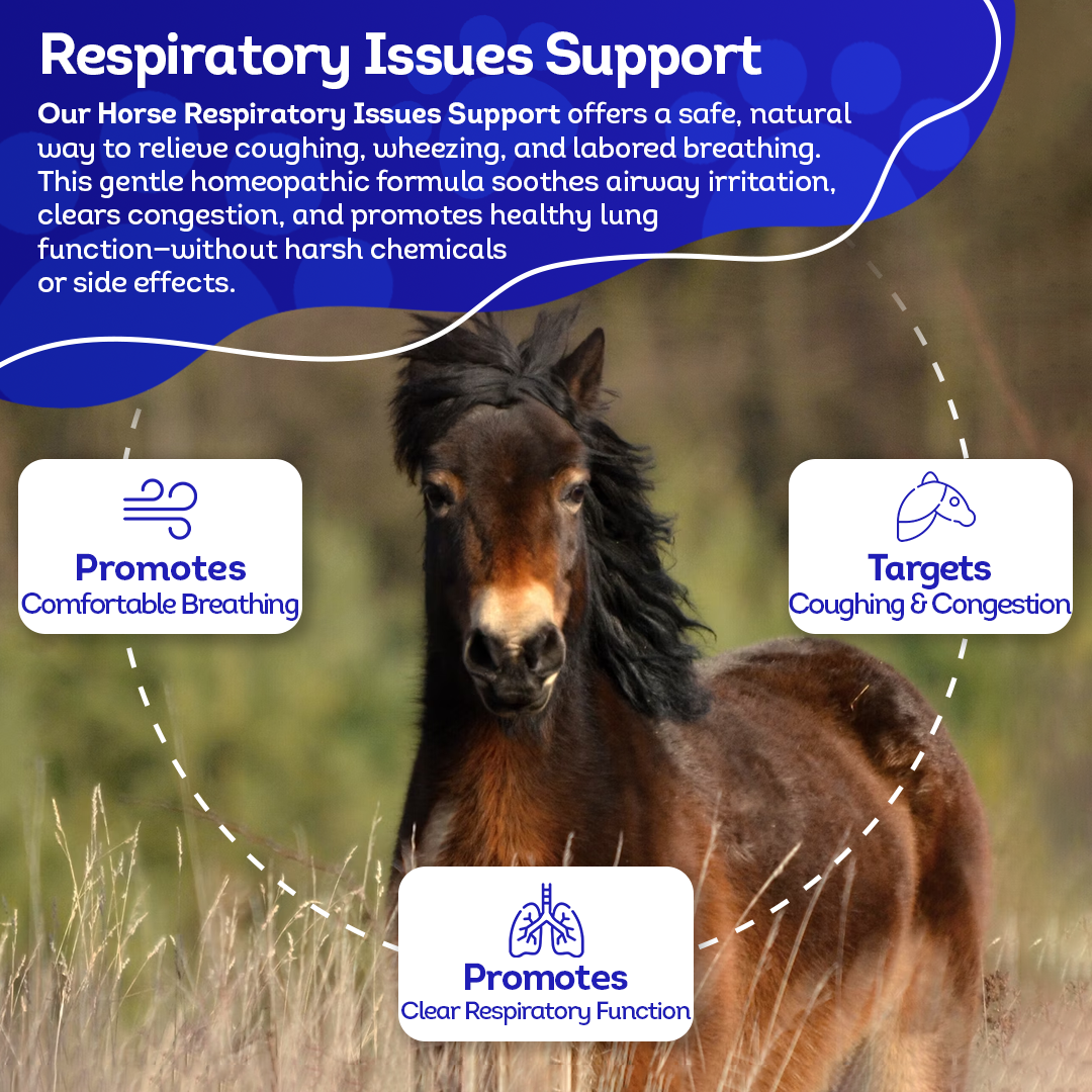 Horse Respiratory Issues Support (Liquid)
